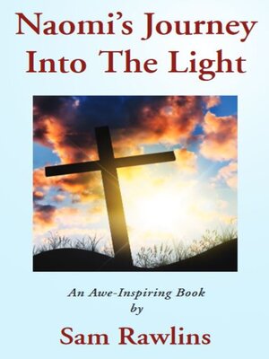 cover image of Naomi's Journey